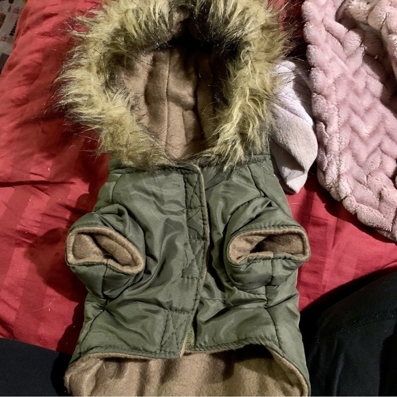 Dog  parka - Picture 3 of 4